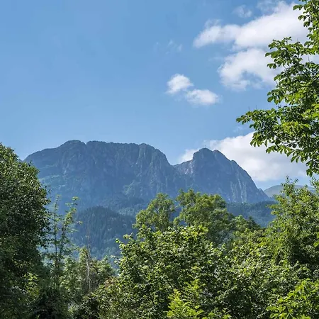 Apartament Czarny Potok Lux Zakopane Exterior foto