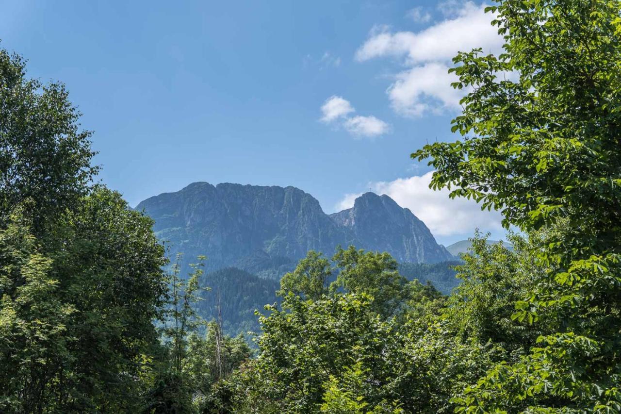 Apartament Czarny Potok Lux Zakopane